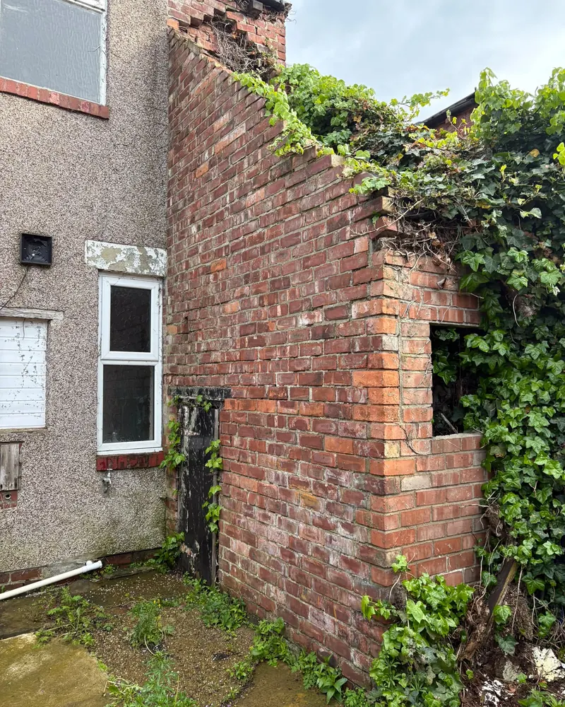 Rear brick wall of a terraced house with its top broken away and covered in ivy